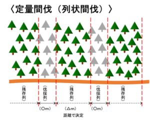 定量間伐のイラスト画像