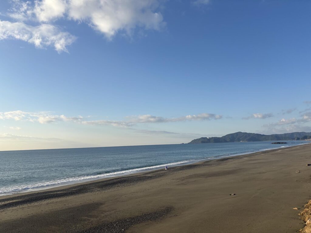 清掃後の高知海岸