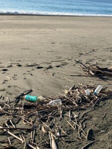 高知海岸清掃画像2026-2