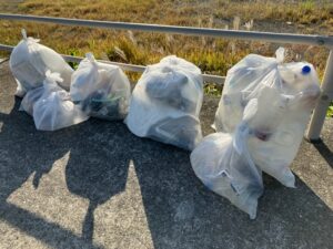 高知海岸清掃画像2026-3