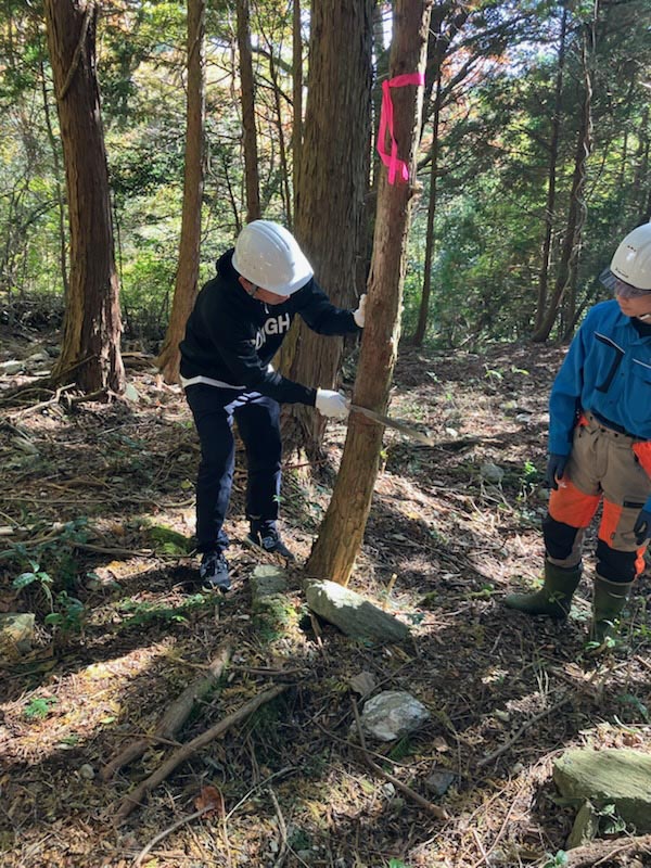 高知森林間伐作業_のこぎり作業